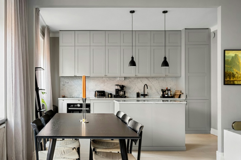 Contemporary kitchen with birch wood