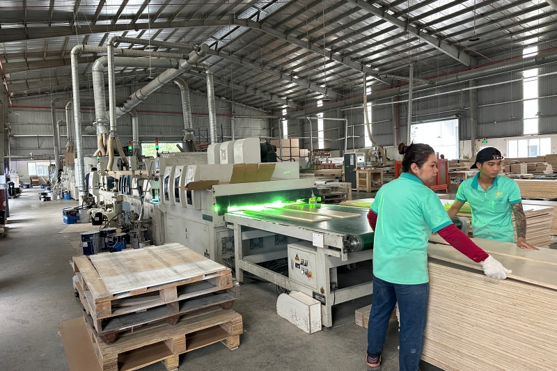 Economic repercussions of US tariff on Vietnam Economic repercussions of US tariff on Vietnam
